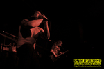 Gallery image 25