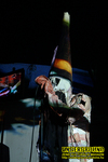 Gallery image 22