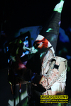 Gallery image 30