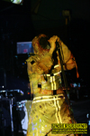 Gallery image 59