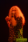 Gallery image 11