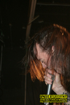 Gallery image 11