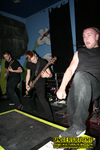 Gallery image 24