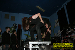 Gallery image 29