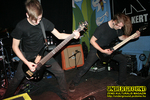 Gallery image 38