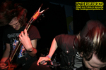 Gallery image 38