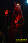 Gallery image 68