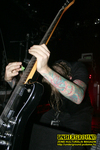 Gallery image 69