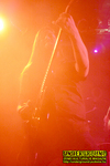 Gallery image 76