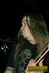 Gallery image 13