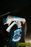 Gallery image 53