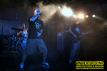 Gallery image 21