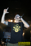 Gallery image 24