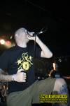 Gallery image 25