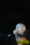 Gallery image 31