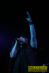Gallery image 21