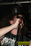 Gallery image 10
