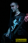 Gallery image 11