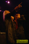Gallery image 32