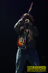 Gallery image 29