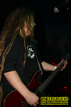 Gallery image 39