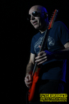 Gallery image 52