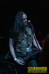 Gallery image 32