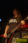 Gallery image 74