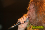 Gallery image 24