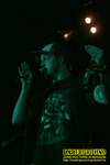 Gallery image 56