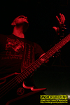Gallery image 50