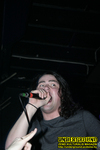 Gallery image 26