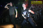 Gallery image 20
