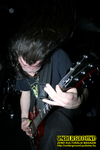 Gallery image 7