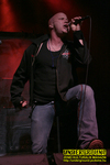 Gallery image 11
