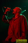Gallery image 10