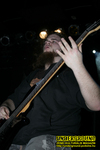 Gallery image 10