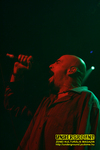 Gallery image 12