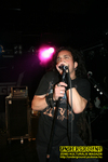 Gallery image 23
