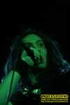 Gallery image 24