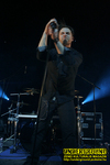 Gallery image 27