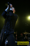 Gallery image 28
