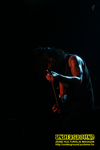 Gallery image 31
