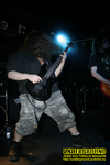 Gallery image 34
