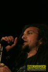 Gallery image 37