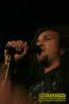 Gallery image 38