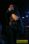 Gallery image 41