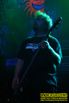 Gallery image 53