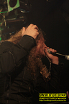 Gallery image 69