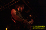 Gallery image 55